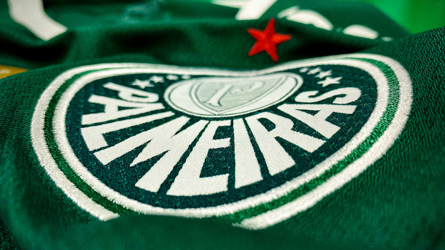 palmeiras